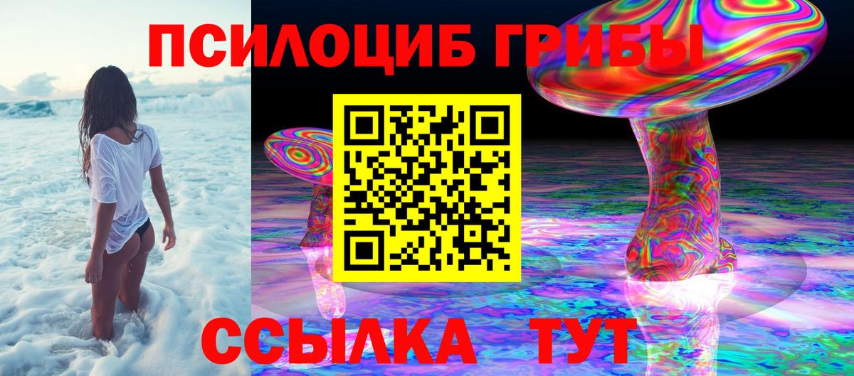 Псилоцибиновые грибы мицелий Среднеуральск