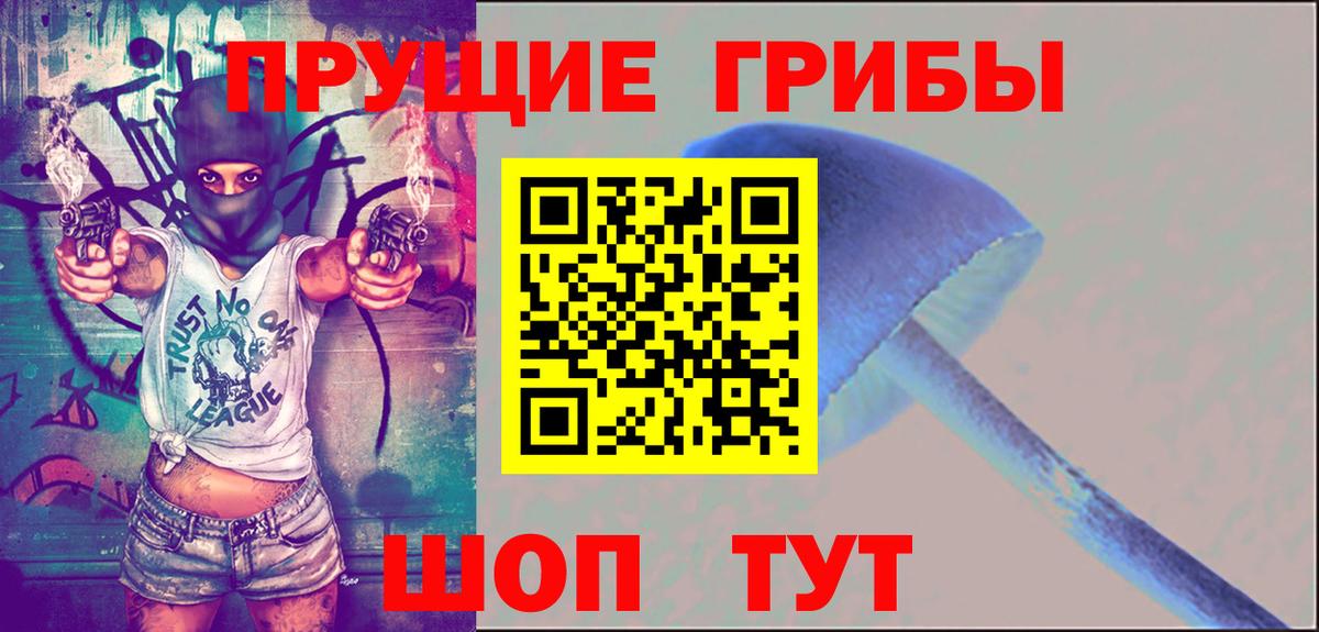 Среднеуральск  Псилоцибиновые грибы мицелий  Вход с VPN 
